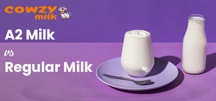 A2 Milk vs Regular Milk