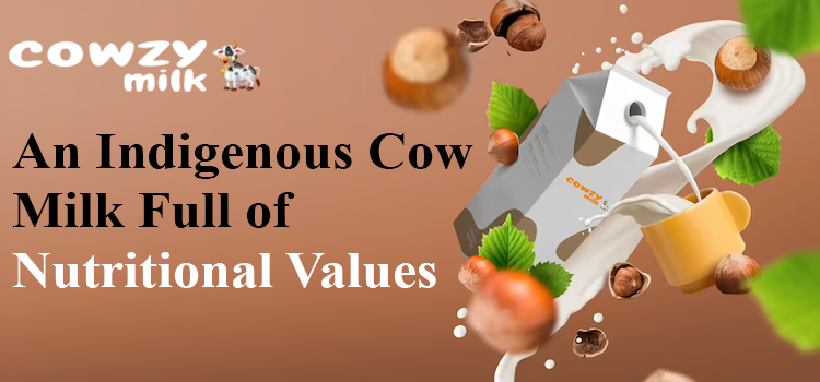 An-indigenous-cow-milk-full-of-nutritional-values