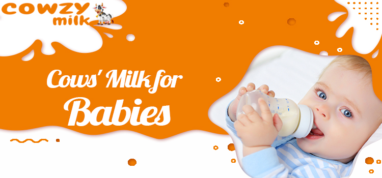 Cows' Milk for Babies