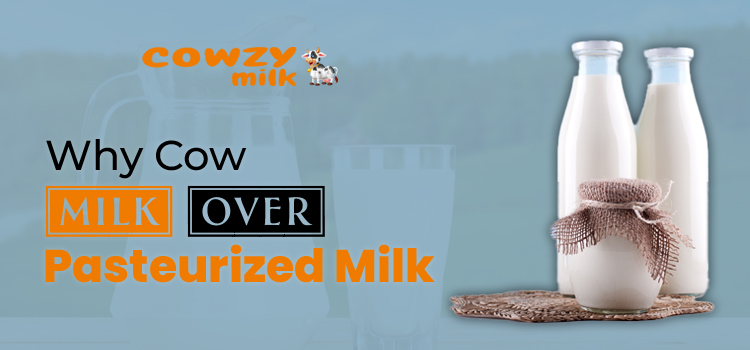 Why Cow Milk over Pasteurized Milk
